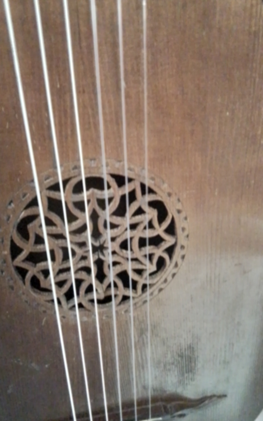 Gitarrenlaute Bild