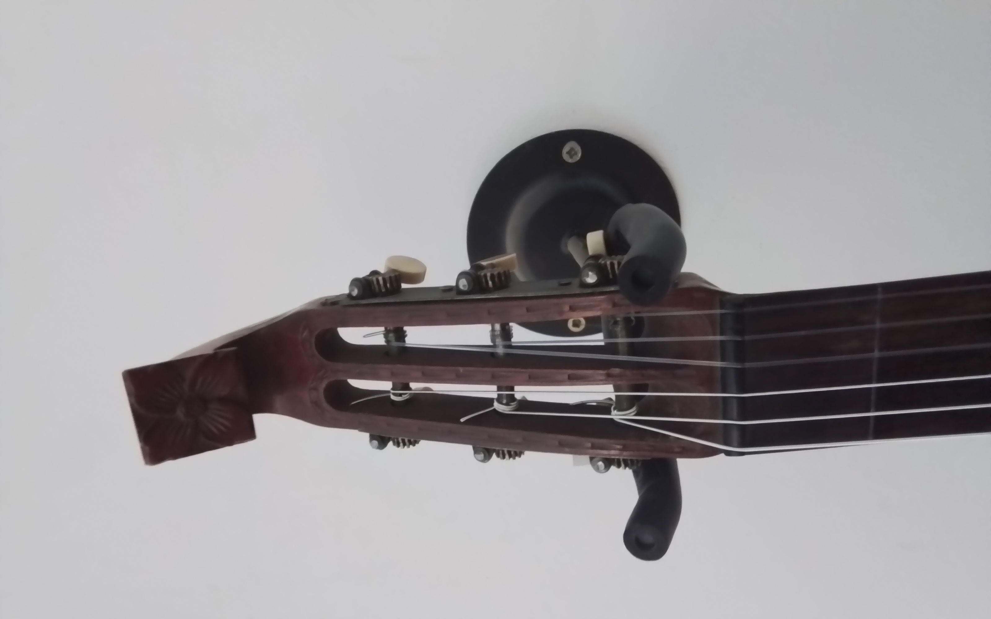 Gitarrenlaute Bild
