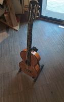 wiener Gitarre Bild