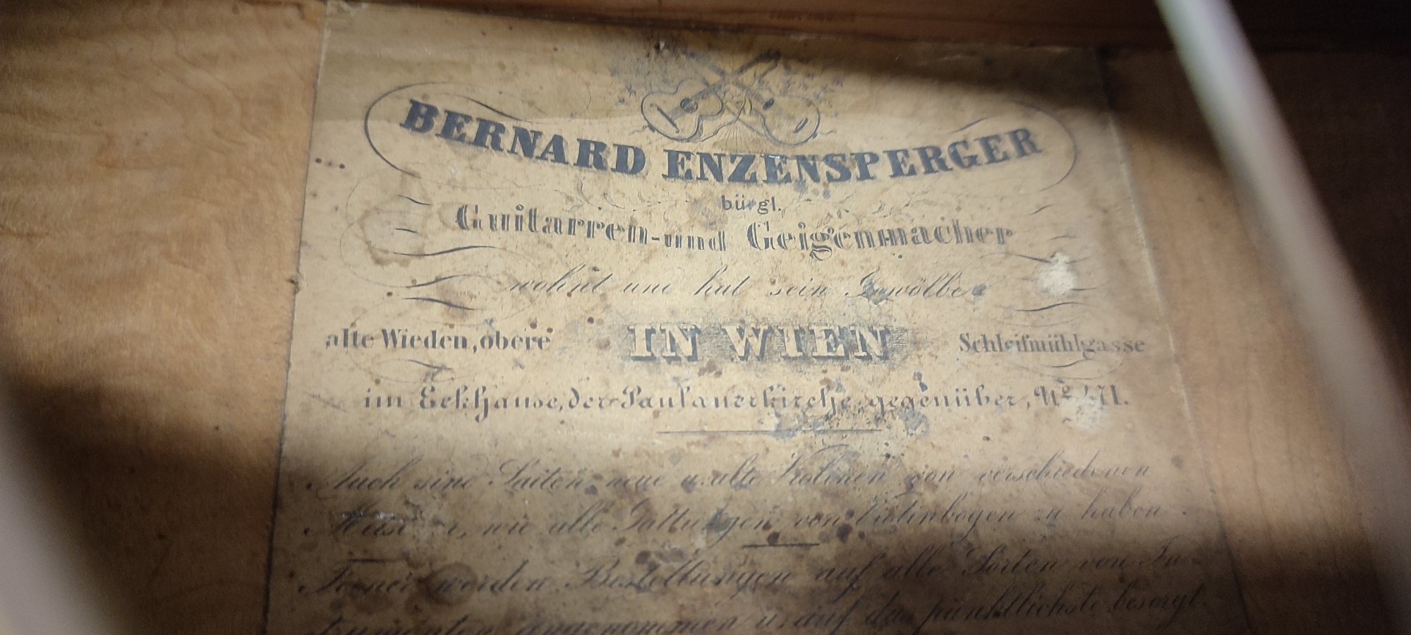 Bernard  EnzenspergerII Bild