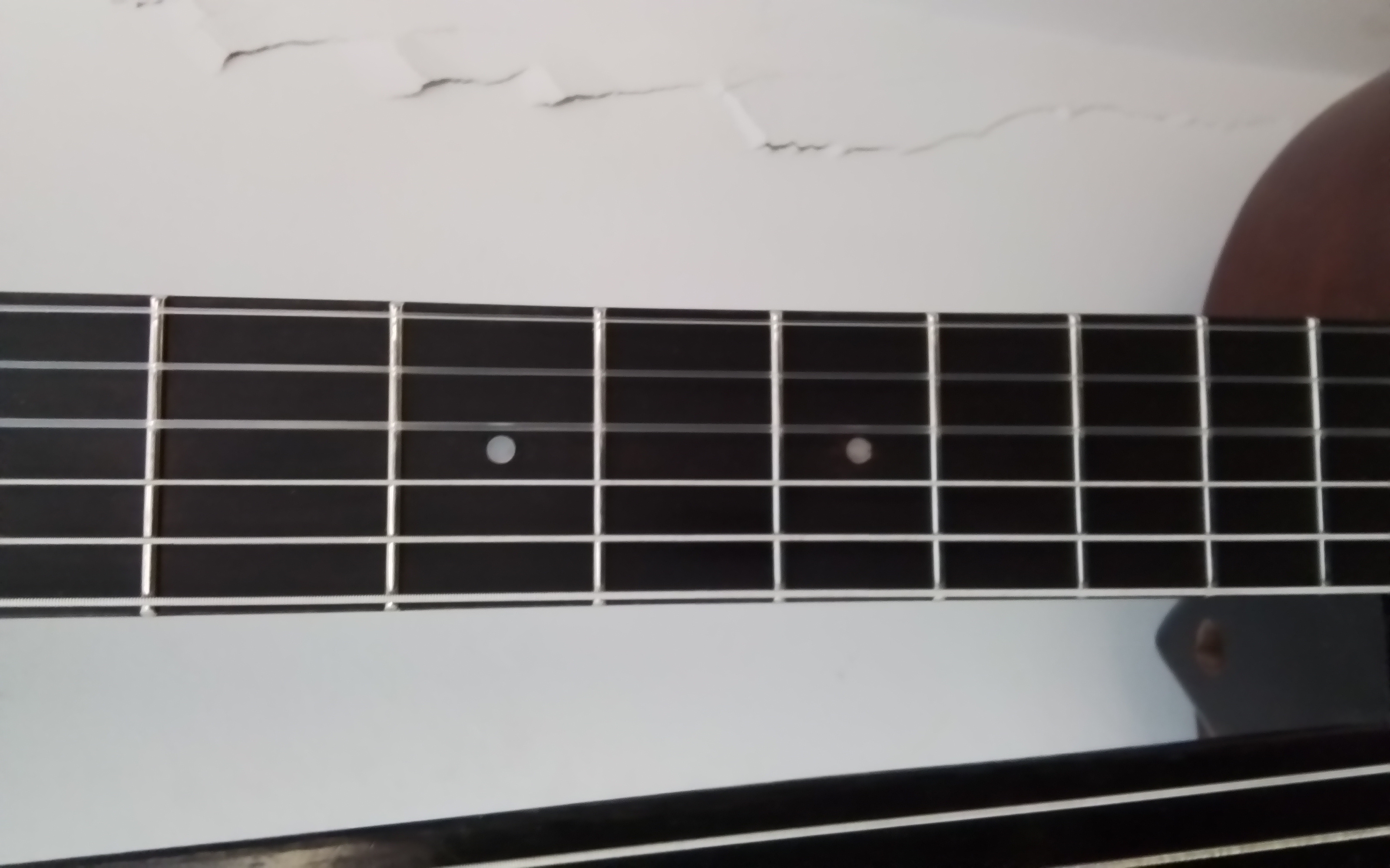 13saitige  Kontragitarre Bild