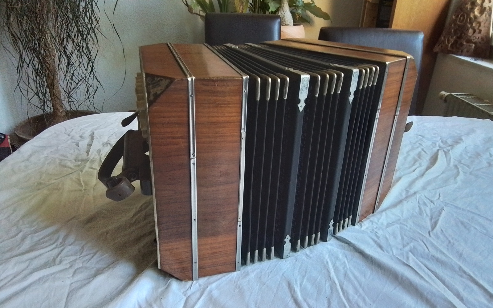 Bandoneon Bild