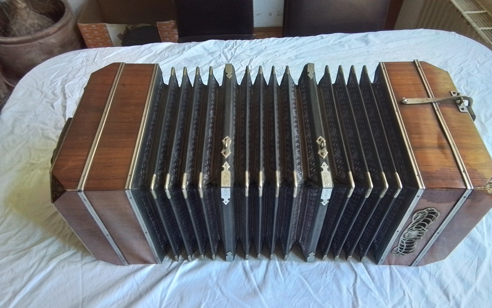 Bandoneon Bild