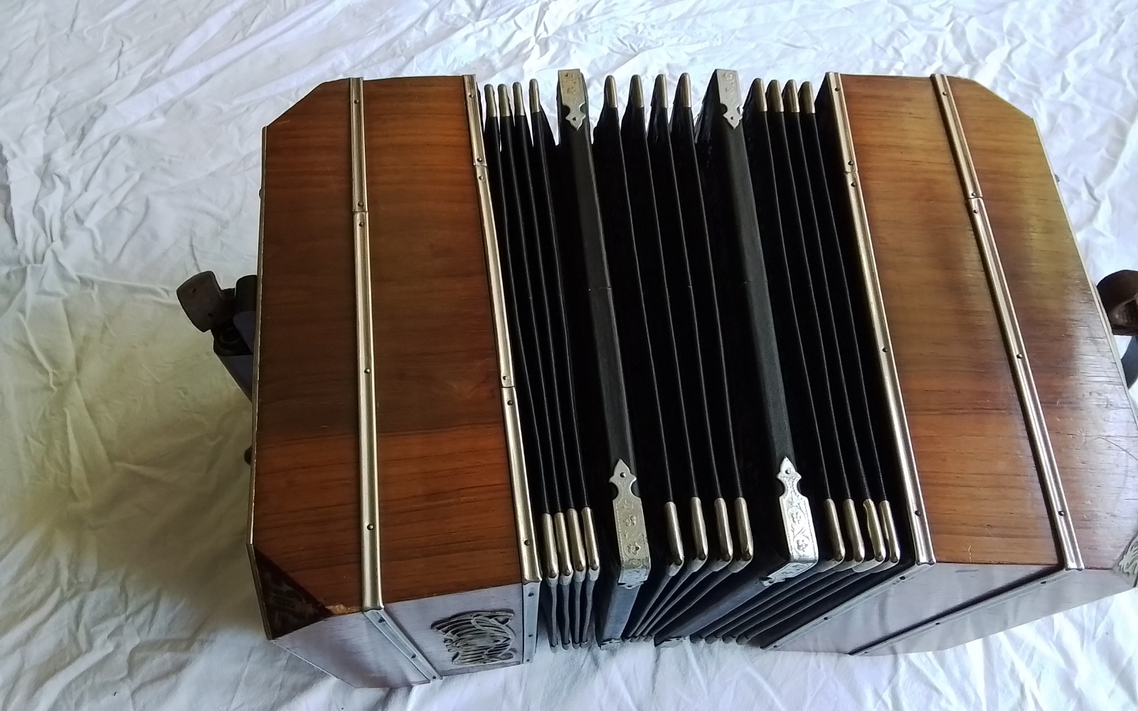 Bandoneon Bild