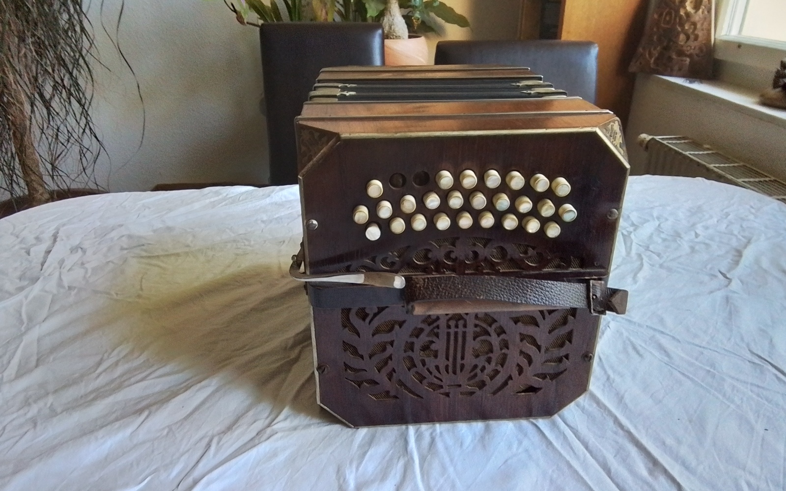 Bandoneon Bild