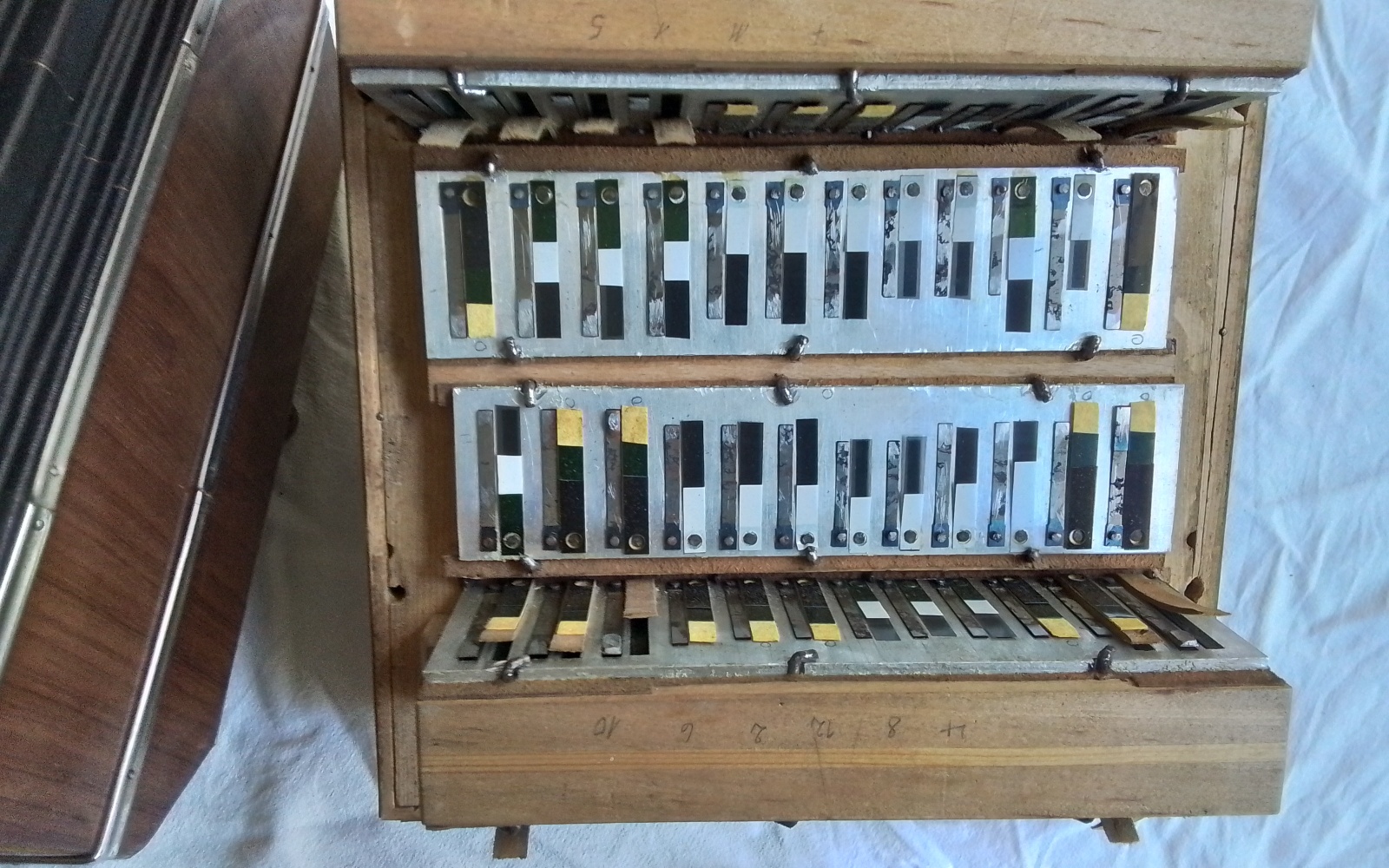 Bandoneon Bild