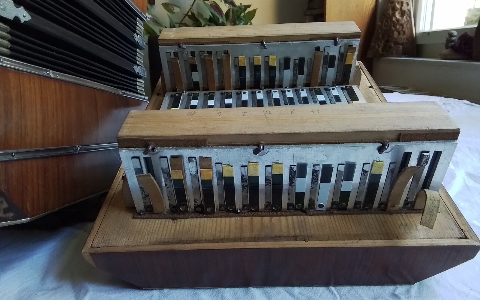 Bandoneon Bild