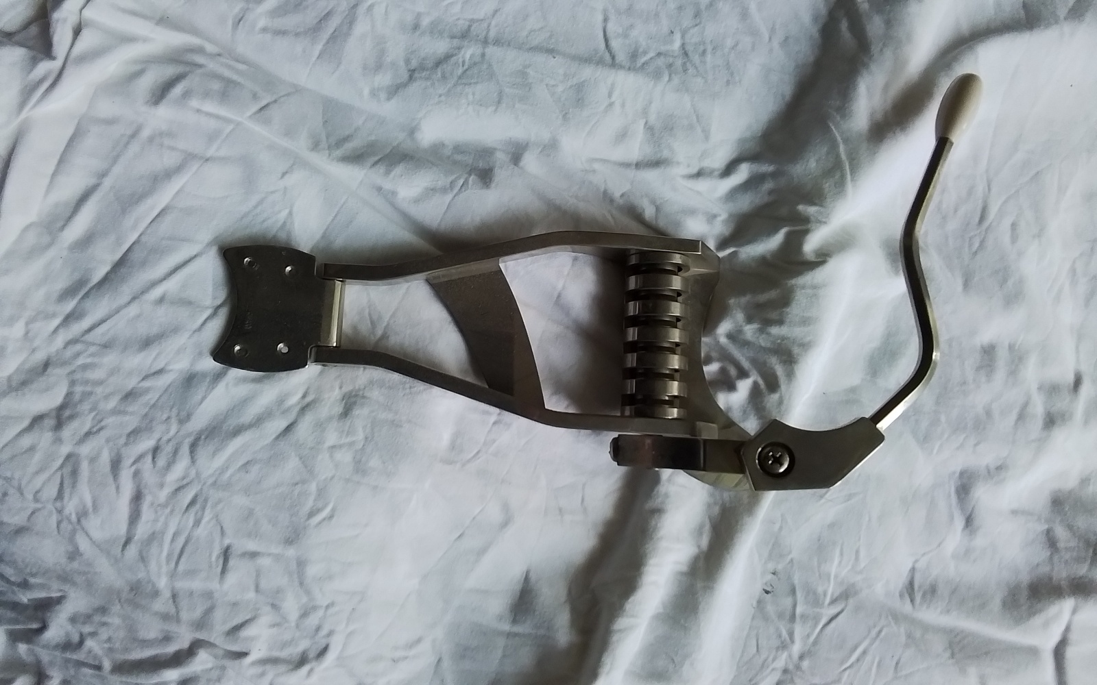 Archtoptremolo Bild