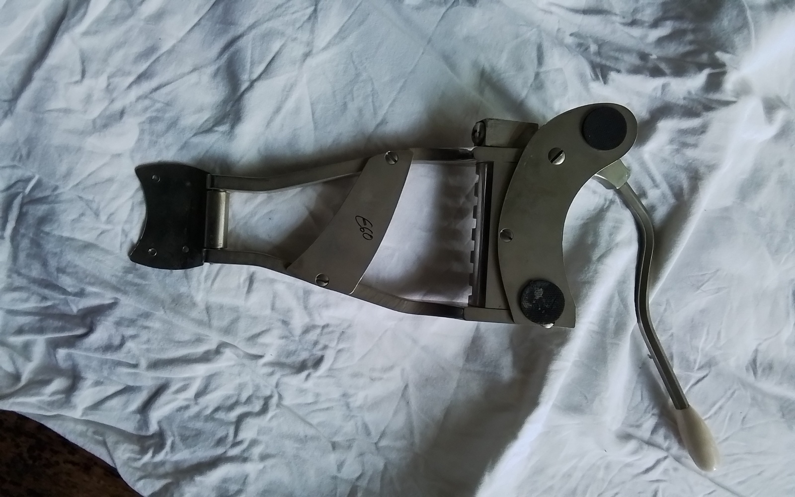 Archtoptremolo Bild