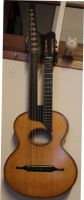 15 saitige Kontragitarre Bild