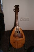 Rundbauch Mandola Bild