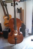 3/4 Cello Bild