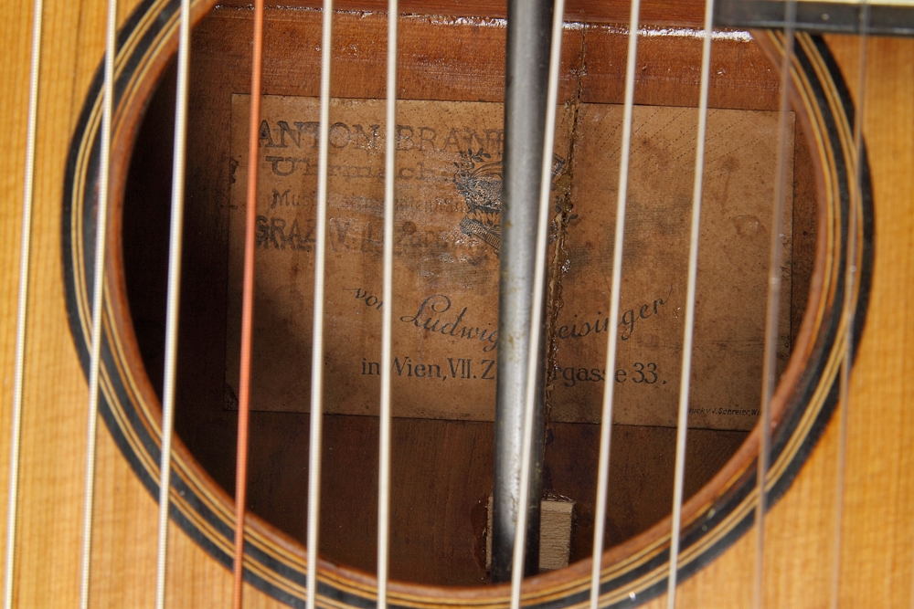 15 saitige Kontragitarre Ludwig Reisinger Bild