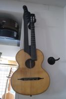 13 saitige Kontragitarre Bild
