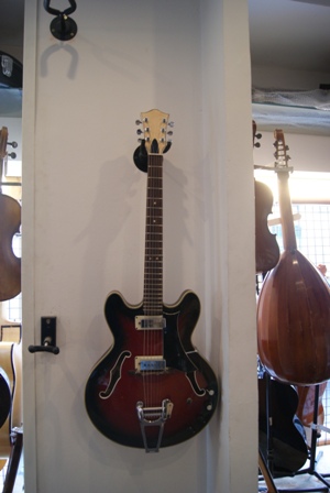 Ekosemiakustik Barracuda Bild