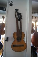 15 saitige Kontragitarre Bild
