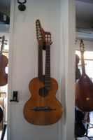 13 saitige Kontragitarre Minnesang Bild