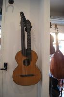 13 saitige Wiener Kontragitarre Bild