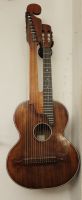 15 saitige Kontragitarre Bild