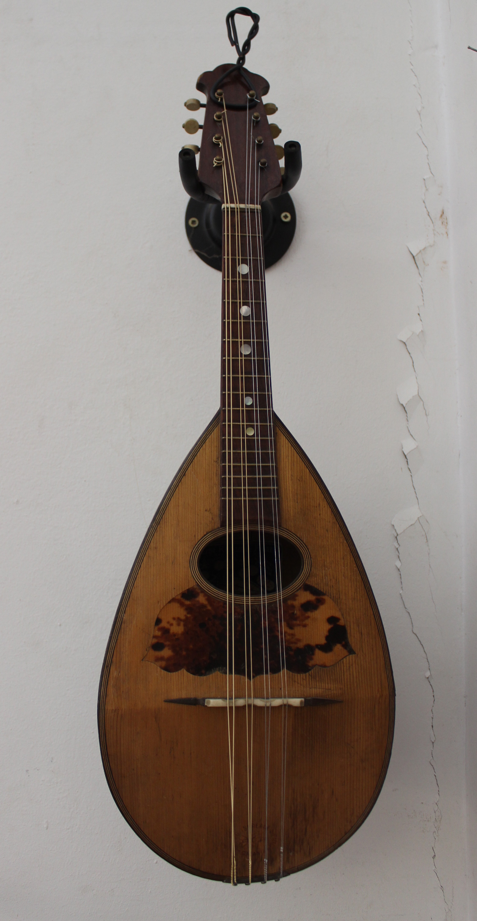 Rundbauch Mandoline Bild