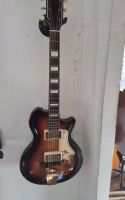 supro rythm1959 Bild