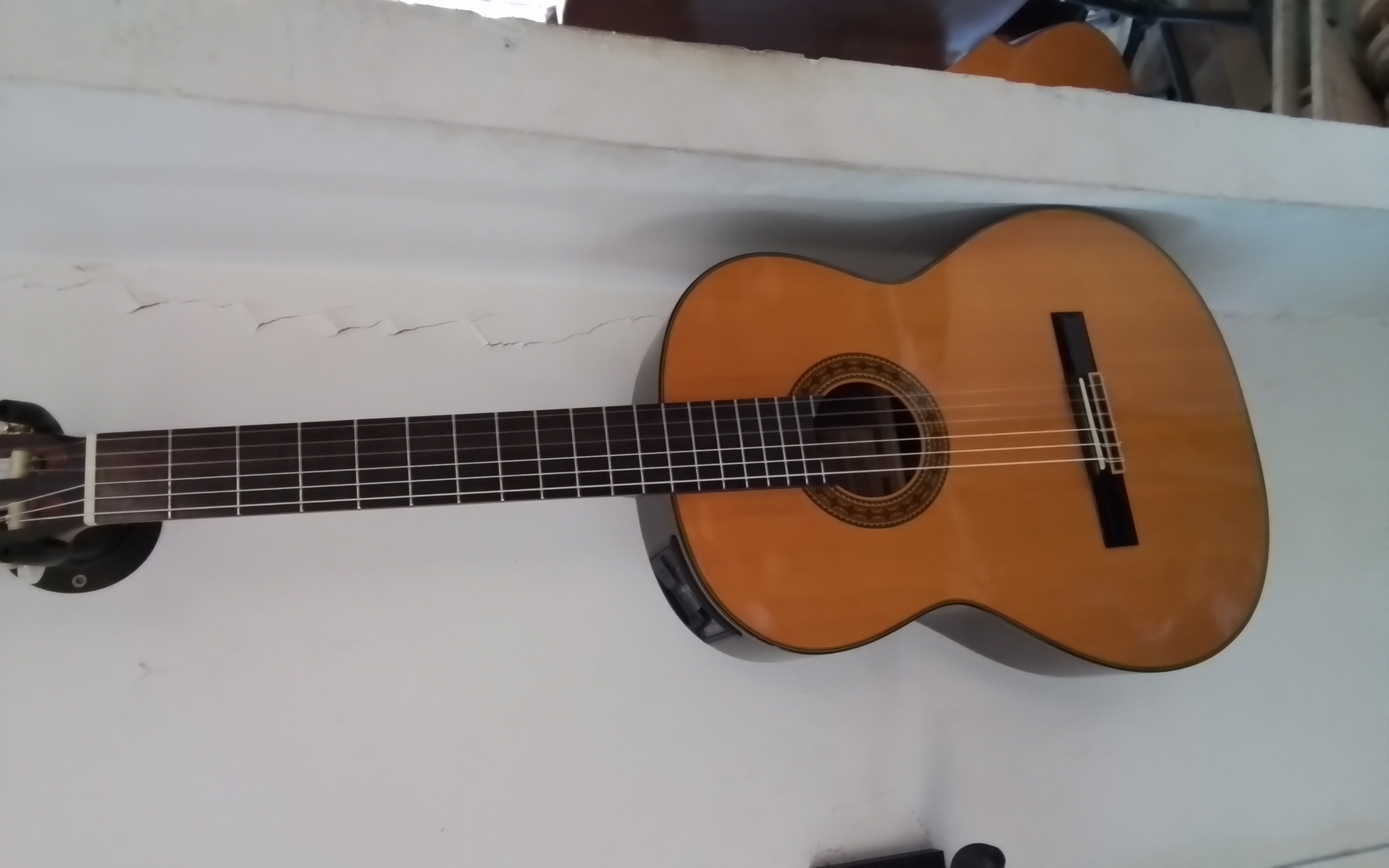  Takamine Bild