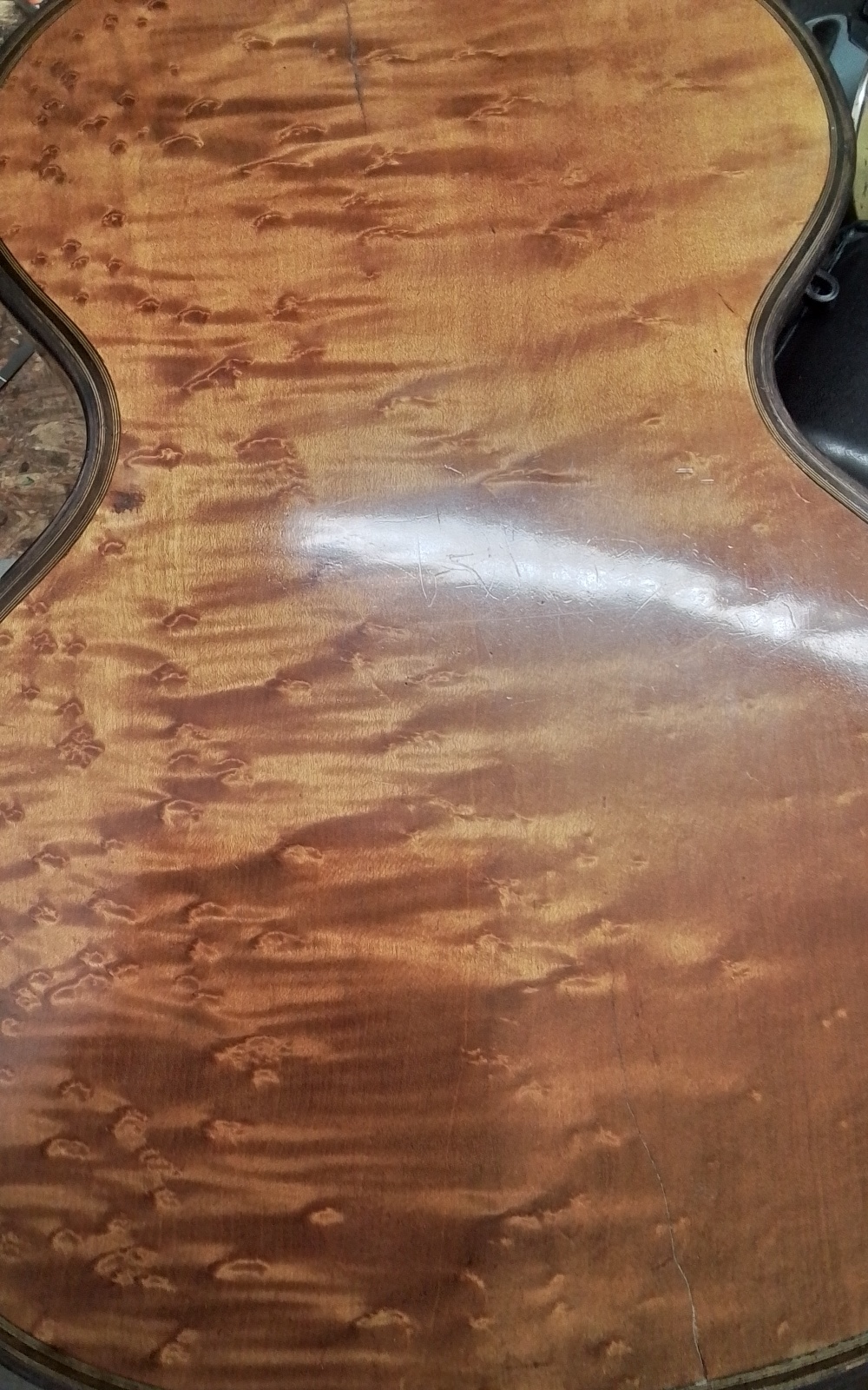 wiener Gitarre Bild